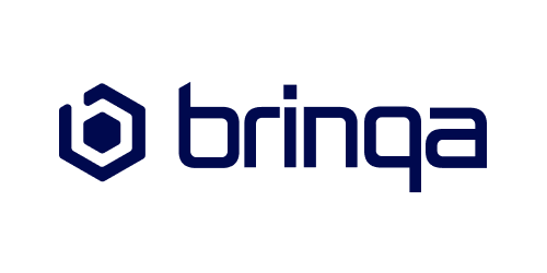 brinqa Logo