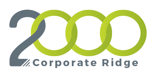 Punch - 2000 Corporate Ridge Logo