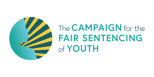 Punch -Campaign for the Fair Sentencing of Youth Logo