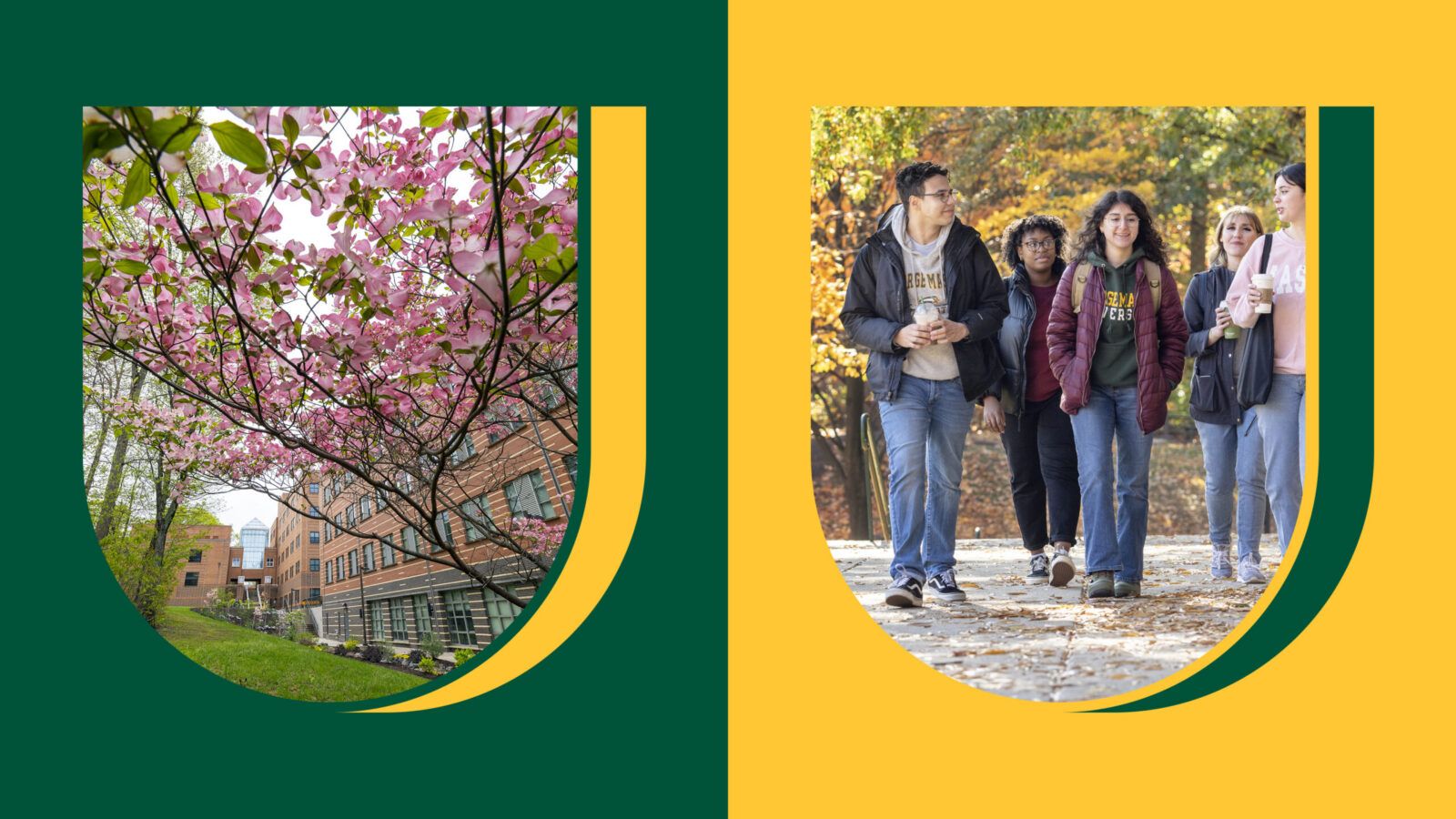 A group of diverse students walking outdoors on a fall day with trees and colorful leaves in the background.